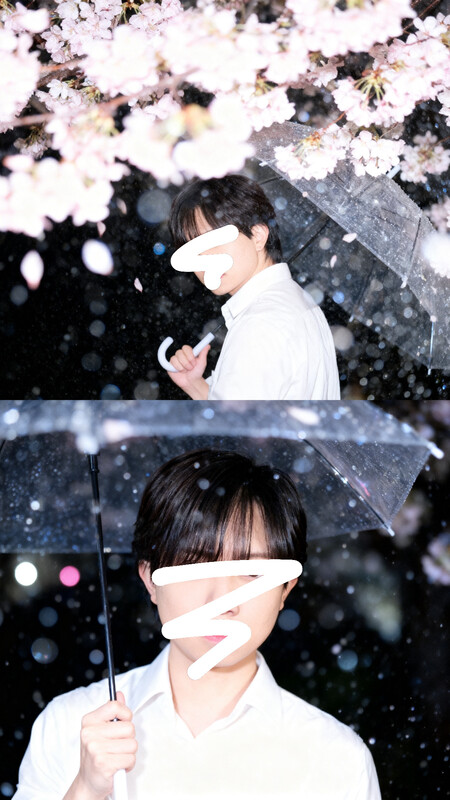 久しぶりの日記🌸